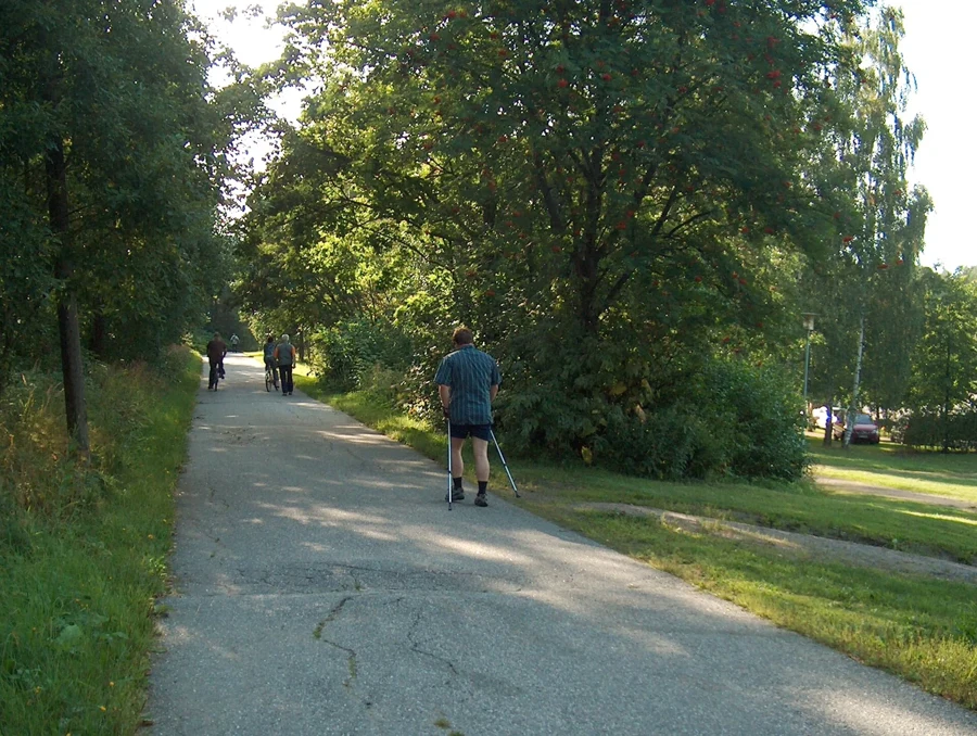 Promeneur pratiquant la marche nordique sur un chemin bordé d'arbres