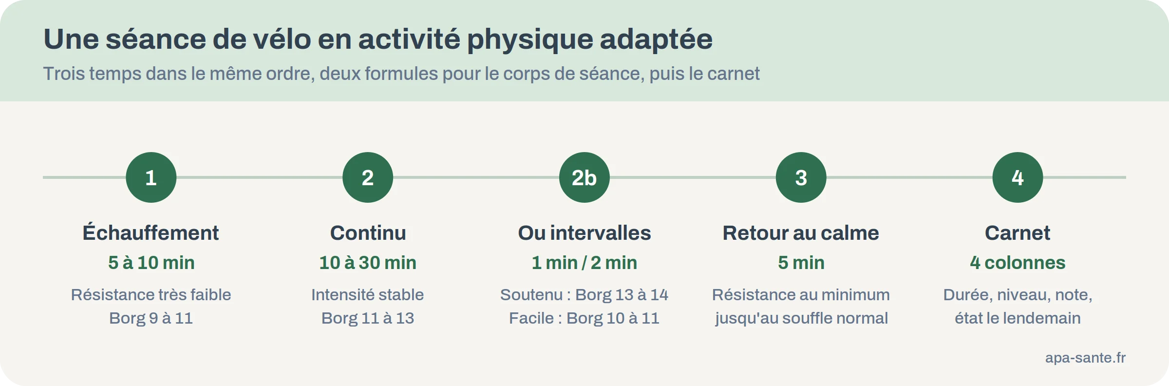 Frise d'une séance de vélo d'appartement en APA : échauffement, corps de séance continu ou en intervalles, retour au calme