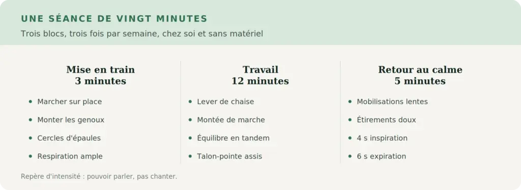 Déroulé d'une séance de vingt minutes à domicile