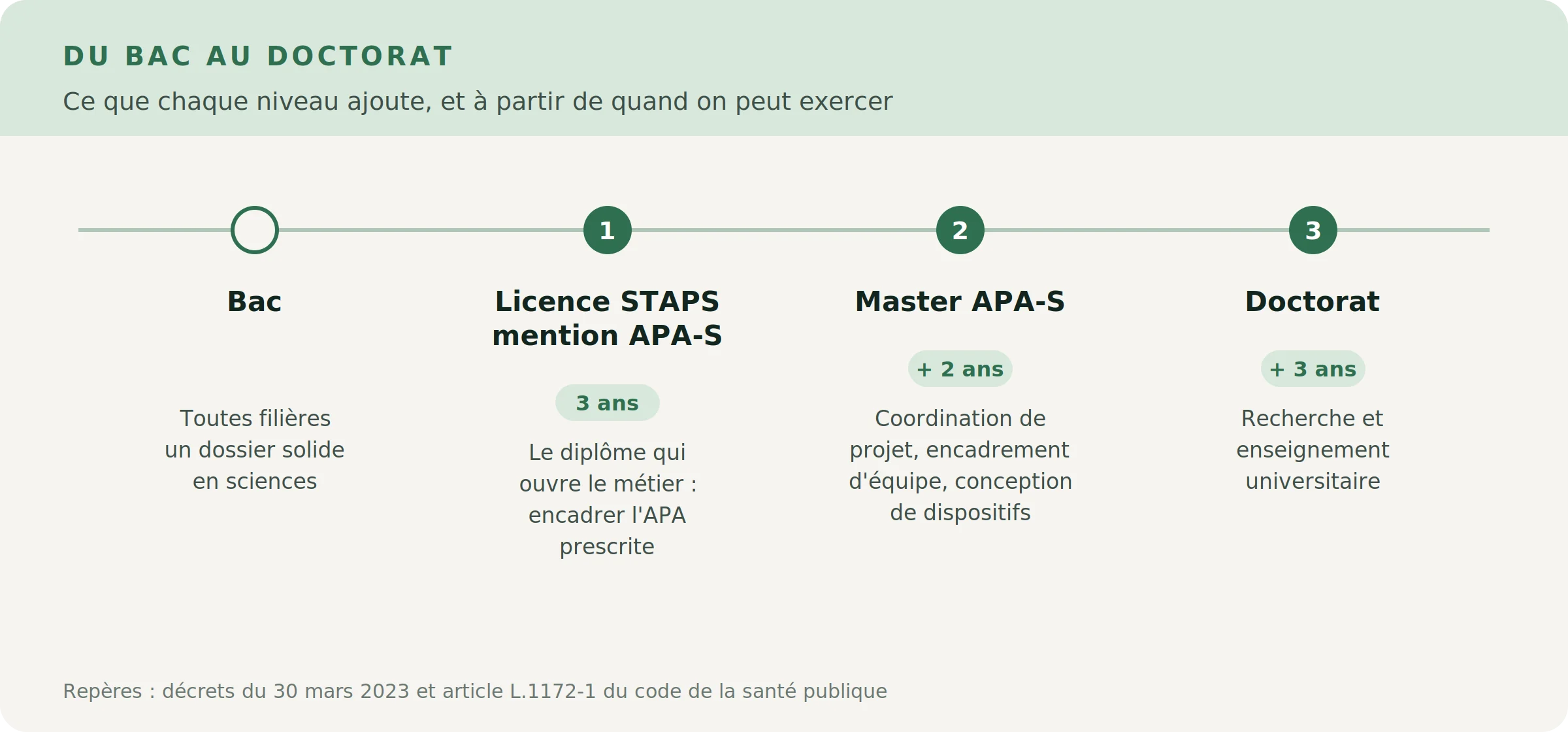 Frise du parcours : bac, licence STAPS APA-S, master, doctorat