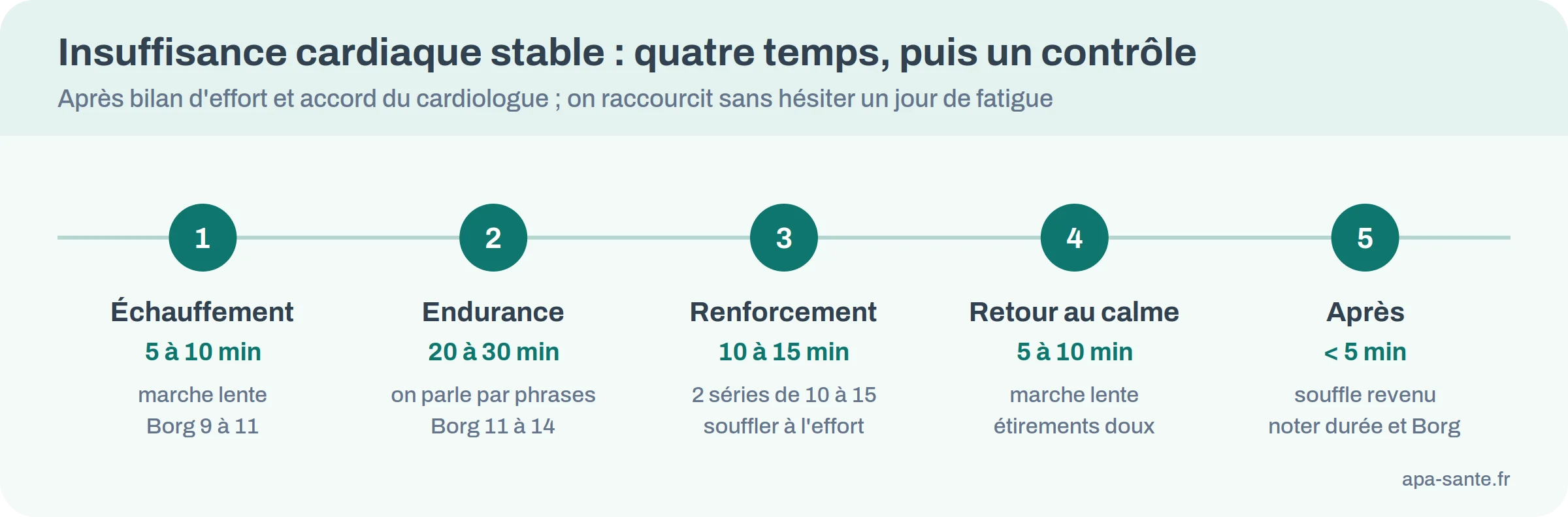 Frise d'une séance type avec échauffement, effort, renforcement et retour au calme